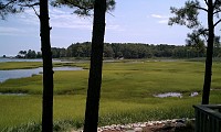 Marsh View